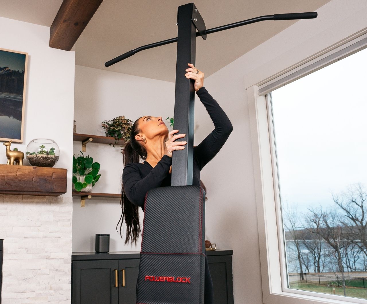PowerBench 2.0 Chin-Up Attachment